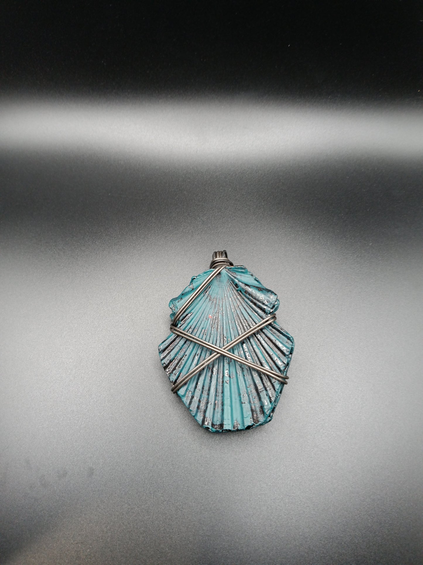 Large Seashells ( 29 Variants )